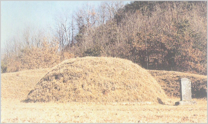 tasa.jpg